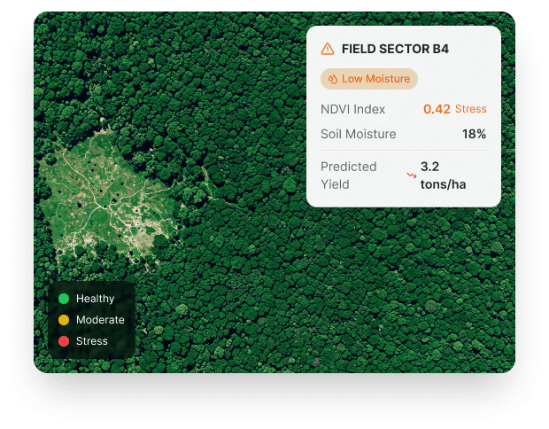 Carbon Index Content